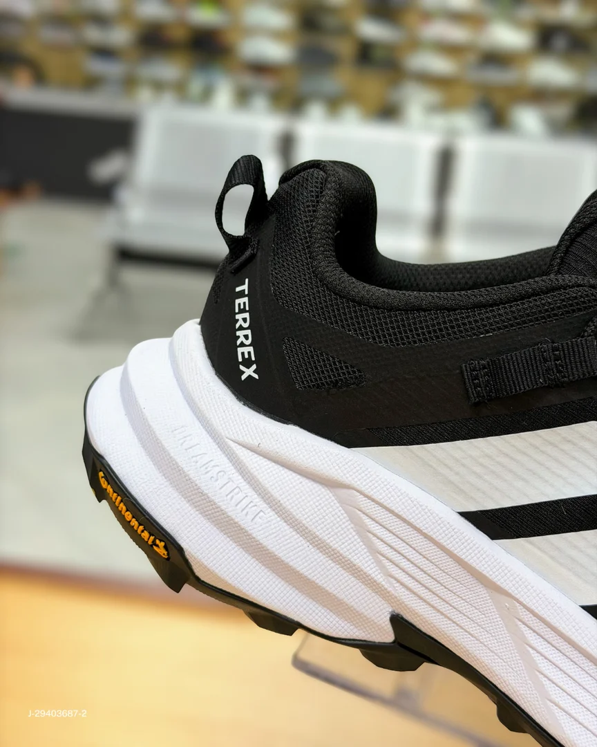 Foto de Adidas Terrex Free Hiker SL GTX 2